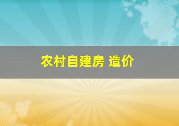 农村自建房 造价